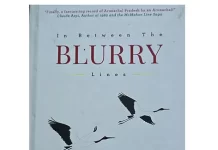 Reflection on ‘In Between the Blurry Lines’