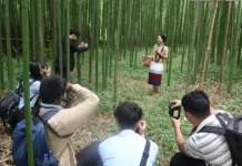 Heritage photo walk organised in Ziro