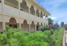 College turns unused space into green garden