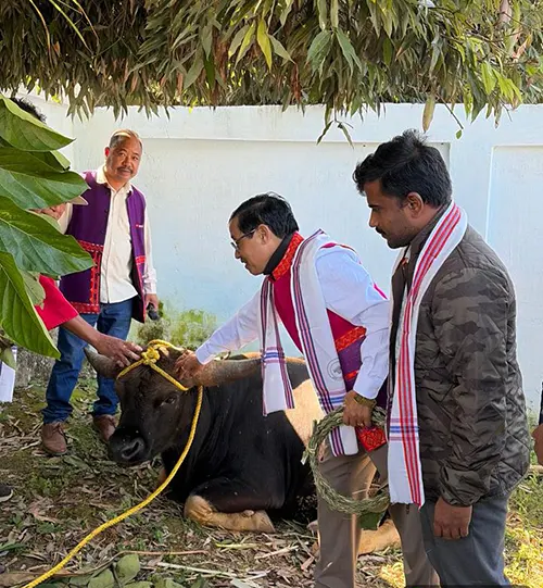 Awareness on Siangmi Mithun