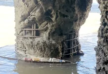 Org flags negligence towards Nirjuli viaduct bridge