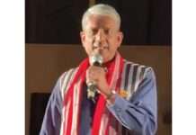 Theatres celebrate human experiences: Adil Hussain