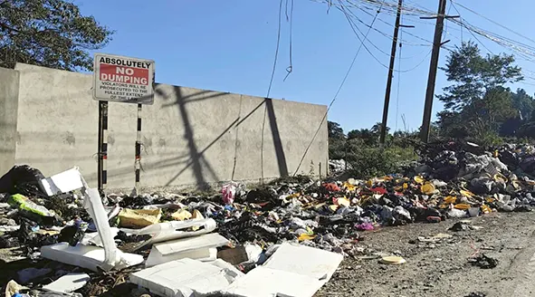 A heap of garbage lay accumulated right