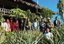 APEDA official assesses pineapple production, export feasibility at Bagra