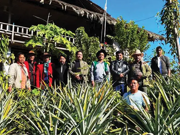 APEDA official assesses pineapple production, export feasibility at Bagra