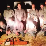 Five arrested for illegal activities in Papum RF