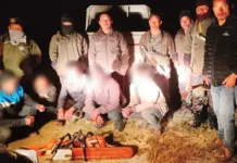 Five arrested for illegal activities in Papum RF