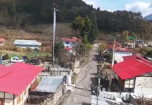 House roofs in Morshing painted in different hues