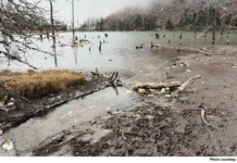 Need to designate Sangetsar Tso as Ramsar site, say conservationists