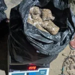 Nirjuli police seize cannabis, arrest one