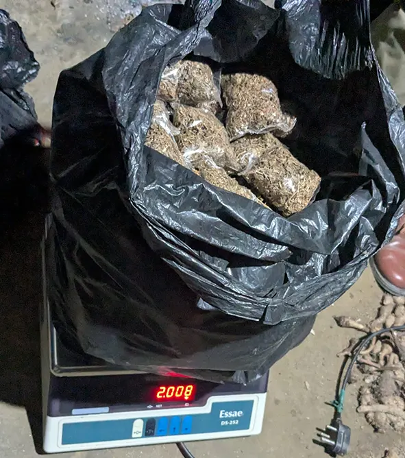 Nirjuli police seize cannabis, arrest one