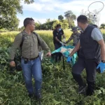 Stranded Hoolock gibbon family rescued