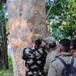 Tiger estimation underway in Namdapha National Park & Tiger Reserve