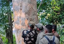 Tiger estimation underway in Namdapha National Park & Tiger Reserve