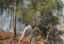 Defence personnel douse forest fire along Sino-India border