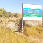 Dry weather in Siang region hits oilseed production