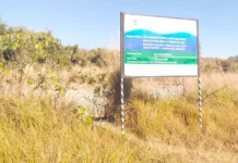 Dry weather in Siang region hits oilseed production