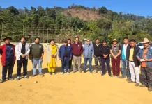 Ete invites tourists to pineapple festival