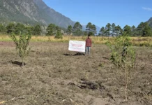 Pomegranate, plum introduced in vibrant villages