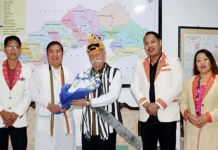 Ward 11 should set example: Guv