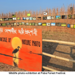 3rd edition of Poba Forest Festival begins