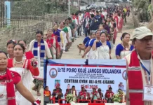 Ali-Aye-Ligang celebration begins with traditional fervour