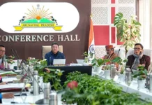 Cabinet okays hydropower incentives, recruitment and governance reforms