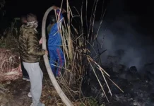 Forest dept controls two major forest fires