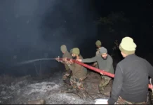 Forest fire prevented in Dirang