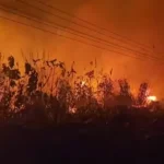 Forest fires in LDV keep administration on toes; advisories issued