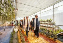 GoAP committed to empowering farming communities: DCM