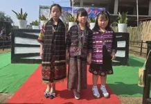 Reh celebrated in twin Dibang Valley districts