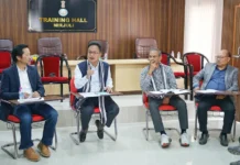 Wangsu asks officials to be innovative, adopt new approaches