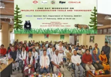 Workshop on wildlife conservation tools