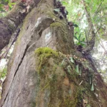 Expedition to indigenous heritage site undertaken