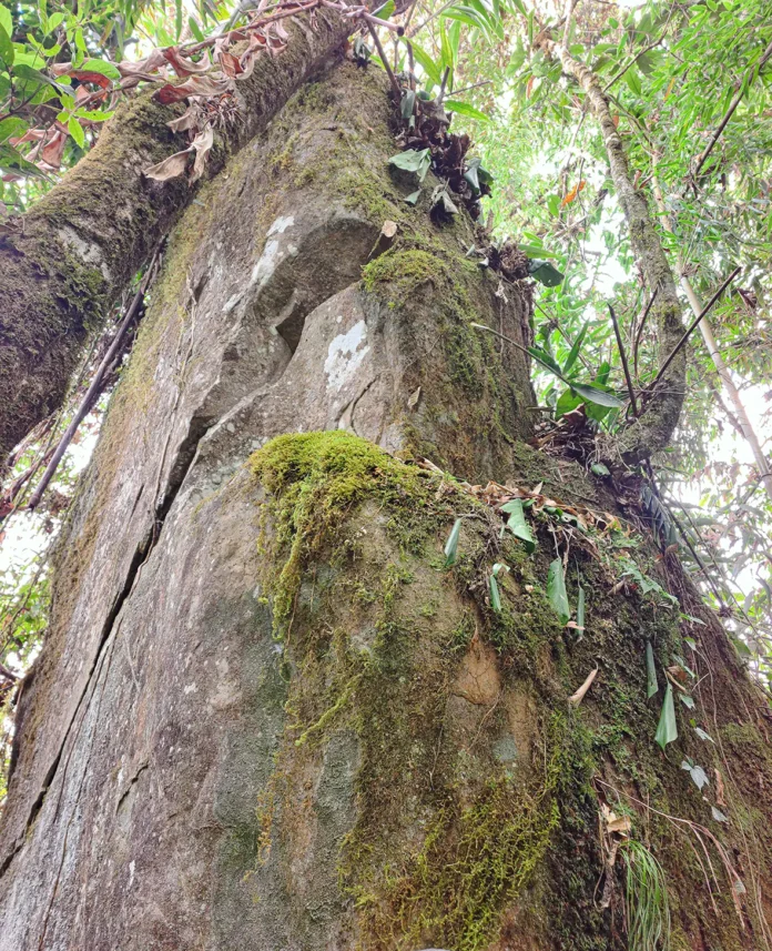 Expedition to indigenous heritage site undertaken