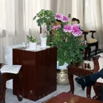 Guv calls for making administration more efficient theautotoday.com