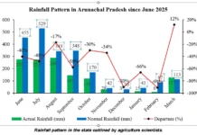 Unpredictable weather causes concern among farmers, experts