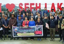 Cherry blossom plantation drive held