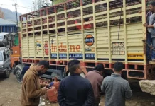 DAs monitoring LPG, fuel availability