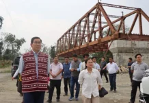 MLA inspects progress of bridge work