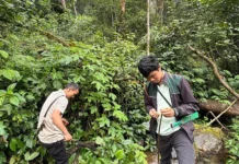 Men on a mission to revive extinct fabrics