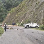 PWD engineer killed, 3 injured in two separate incidents of trees falling on vehicles