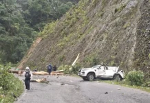 PWD engineer killed, 3 injured in two separate incidents of trees falling on vehicles