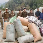 Police dispose huge cache of seized cannabis