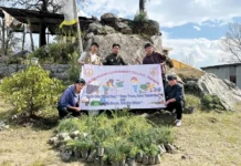 Students carry out plantation drive