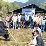 Yaks reintroduced in Shi-Yomi dist
