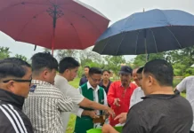 Art & culture director inspects projects in L/Siang