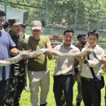 Forest officials trained in snake handing, identification