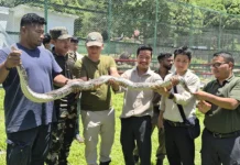 Forest officials trained in snake handing, identification